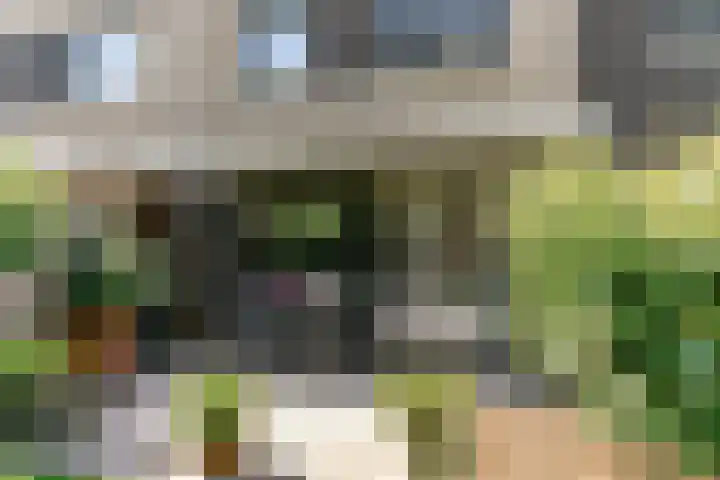 Le Bron de Vexelastraat 30 Roermond thumbnail 22