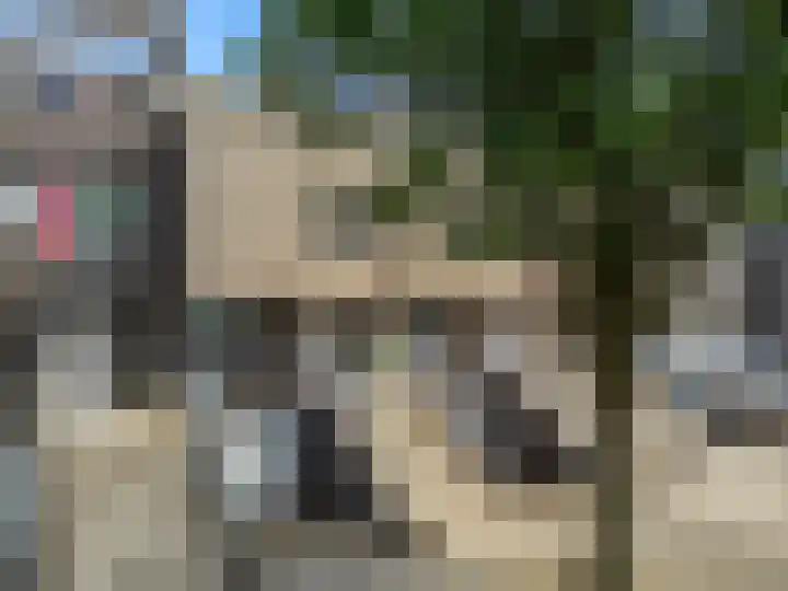 Le Bron de Vexelastraat 30 Roermond thumbnail 28