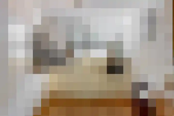 Le Bron de Vexelastraat 30 Roermond thumbnail 5