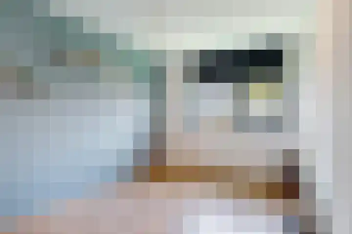 Le Bron de Vexelastraat 30 Roermond thumbnail 9