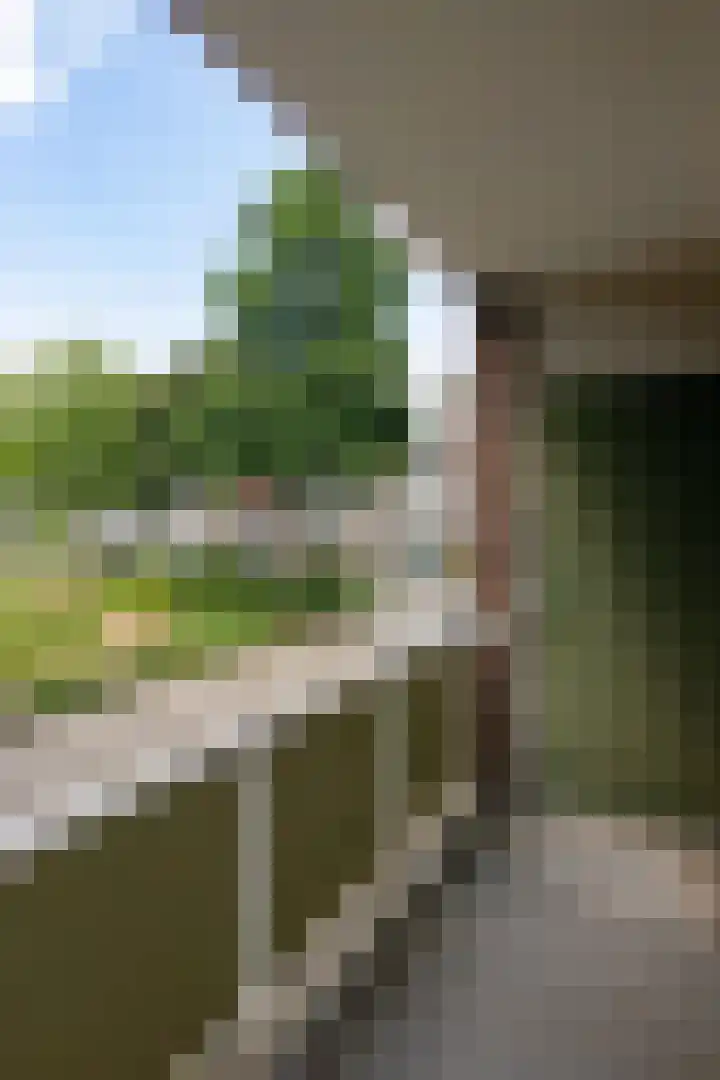 Le Bron de Vexelastraat 67 Roermond thumbnail 12