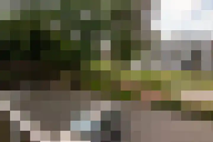 Le Bron de Vexelastraat 67 Roermond thumbnail 16