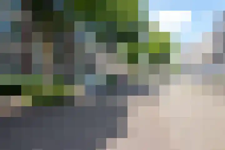 Le Bron de Vexelastraat 67 Roermond thumbnail 20