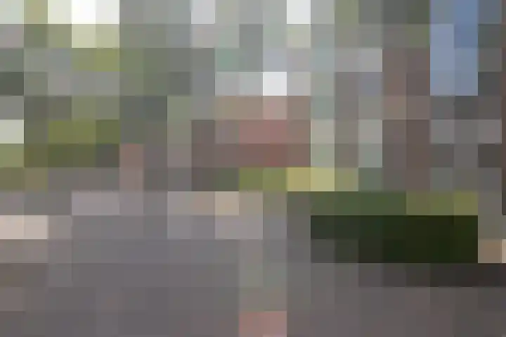 Le Bron de Vexelastraat 67 Roermond thumbnail 21