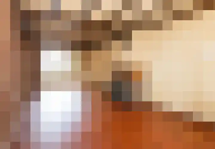 Le Bron de Vexelastraat 67 Roermond thumbnail 5