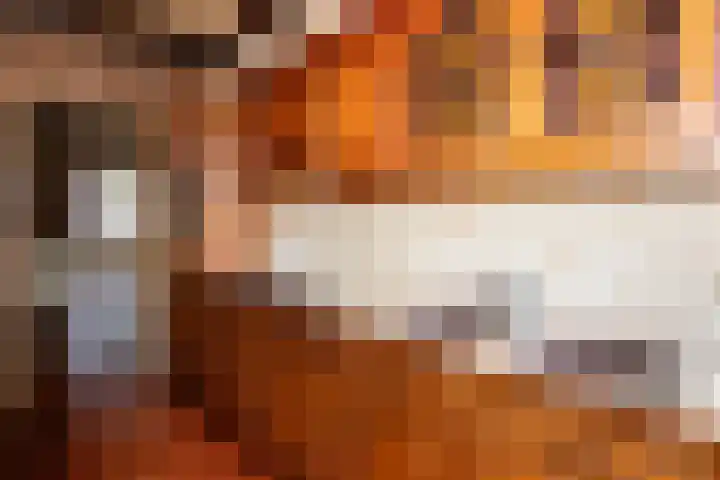 Le Bron de Vexelastraat 67 Roermond thumbnail 7