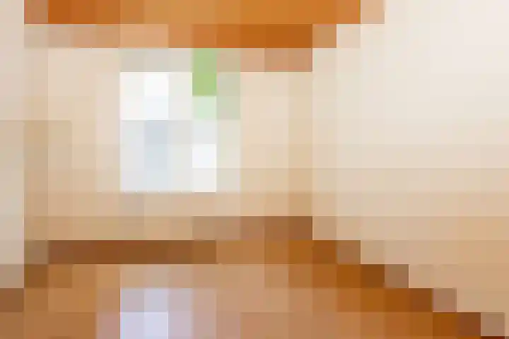 Le Bron de Vexelastraat 67 Roermond thumbnail 8