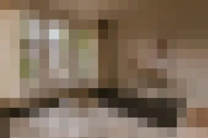 Le Bron de Vexelastraat 7 Roermond thumbnail 11