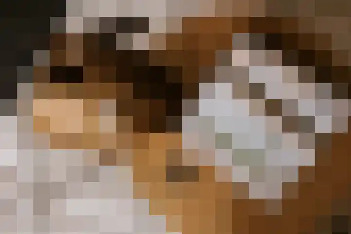 Le Bron de Vexelastraat 7 Roermond thumbnail 12