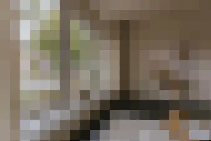 Le Bron de Vexelastraat 7 Roermond thumbnail 13
