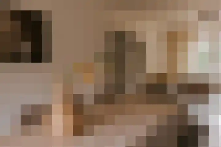 Le Bron de Vexelastraat 7 Roermond thumbnail 14