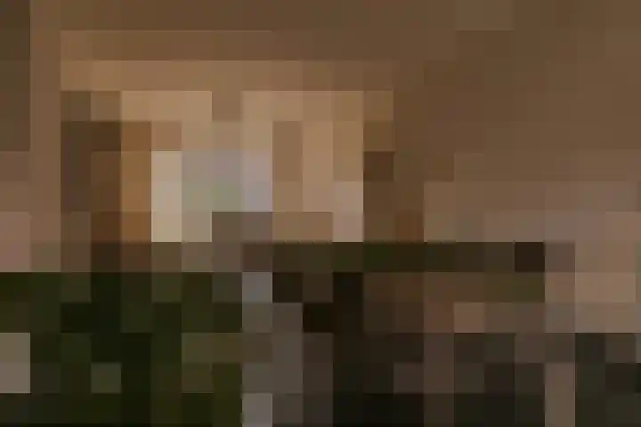 Le Bron de Vexelastraat 7 Roermond thumbnail 15