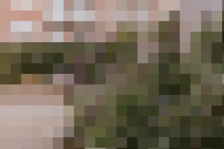 Le Bron de Vexelastraat 7 Roermond thumbnail 19