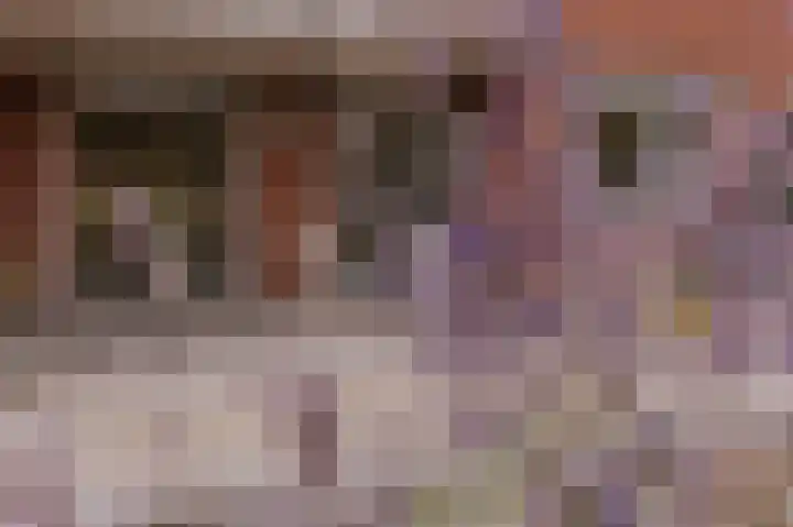 Le Bron de Vexelastraat 7 Roermond thumbnail 20