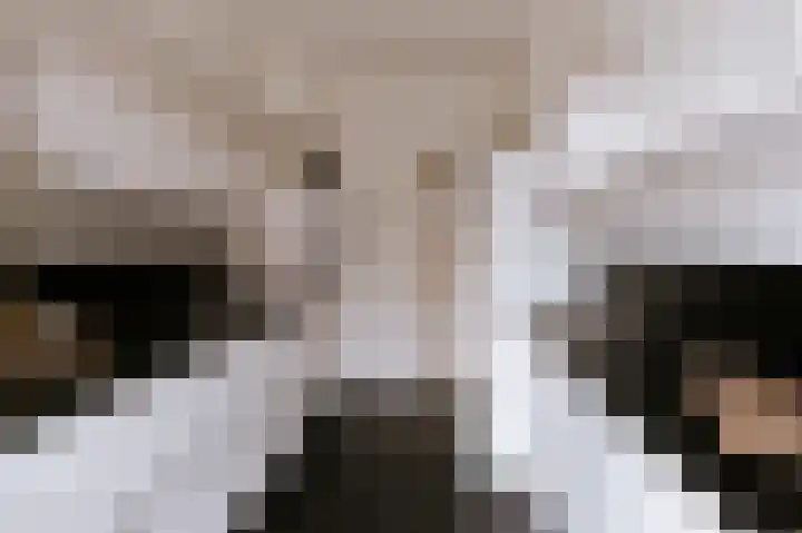 Le Bron de Vexelastraat 7 Roermond thumbnail 22