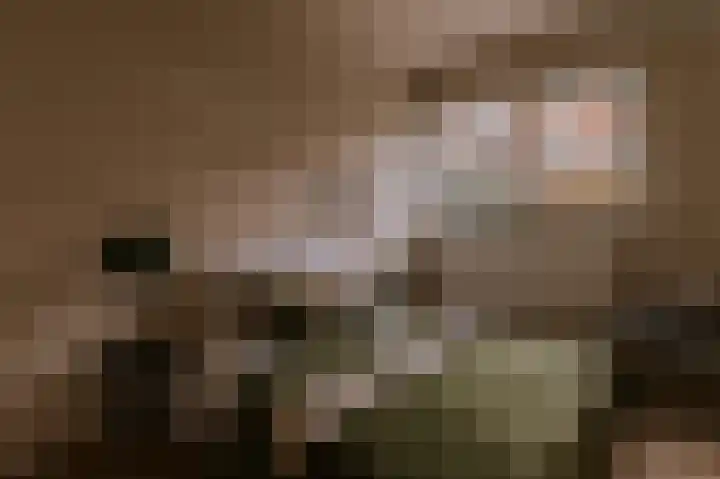 Le Bron de Vexelastraat 7 Roermond thumbnail 25