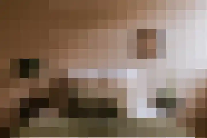 Le Bron de Vexelastraat 7 Roermond thumbnail 27