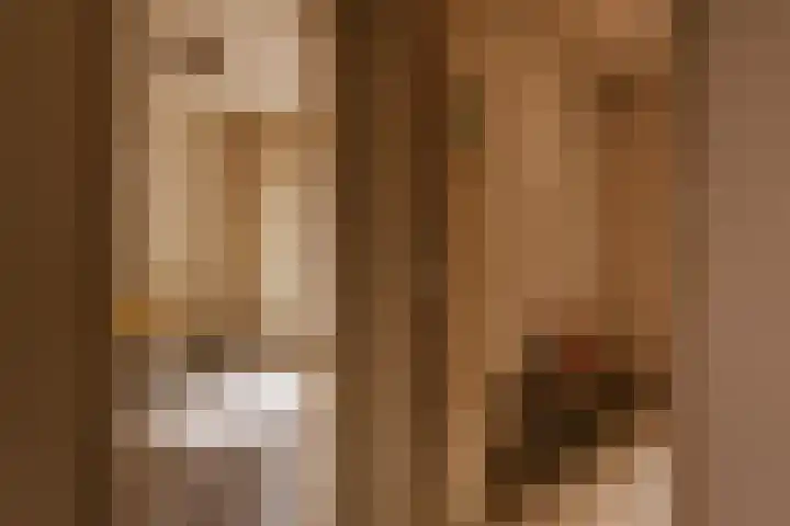 Le Bron de Vexelastraat 7 Roermond thumbnail 28