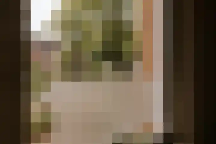 Le Bron de Vexelastraat 7 Roermond thumbnail 30