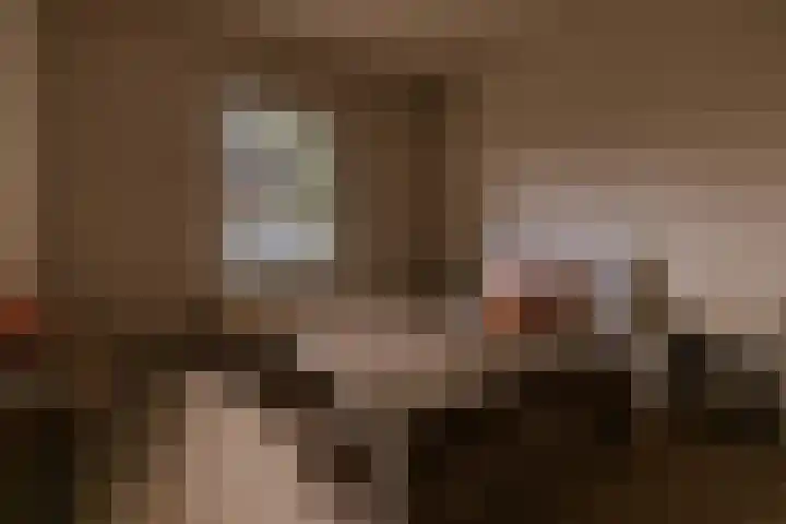 Le Bron de Vexelastraat 7 Roermond thumbnail 31