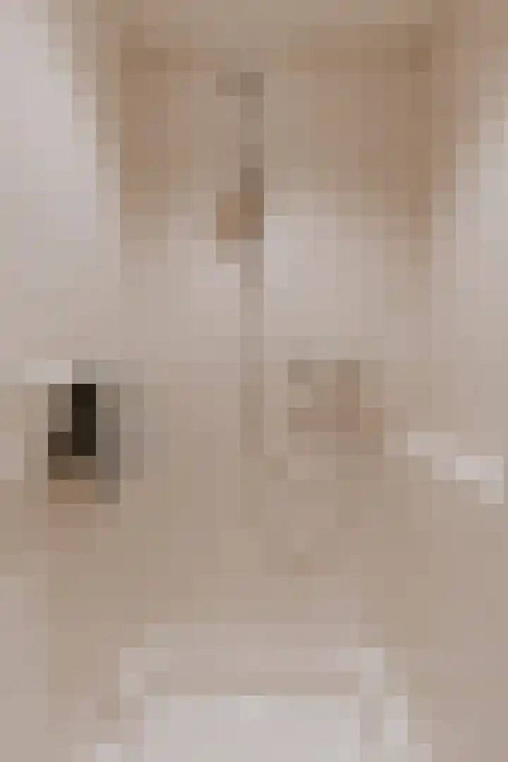 Le Bron de Vexelastraat 7 Roermond thumbnail 34
