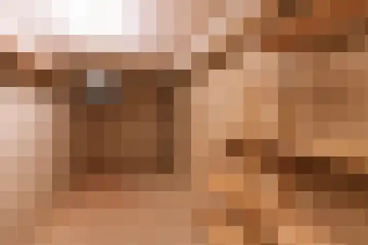 Le Bron de Vexelastraat 7 Roermond thumbnail 36