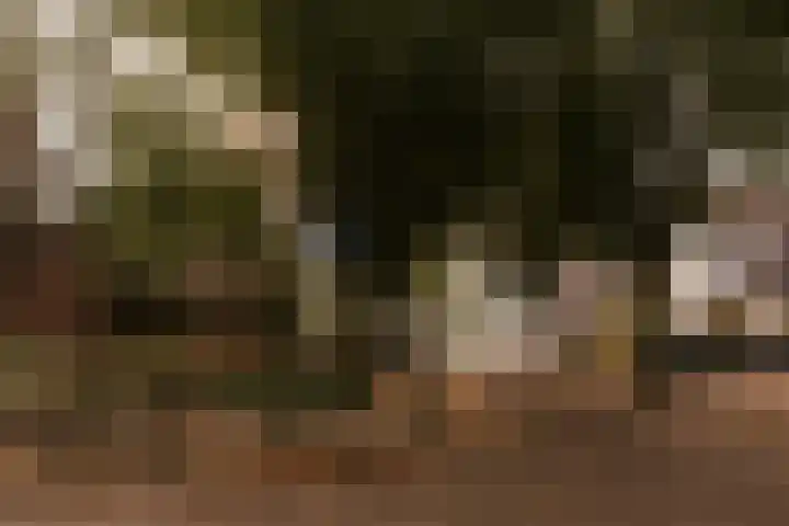 Le Bron de Vexelastraat 7 Roermond thumbnail 37