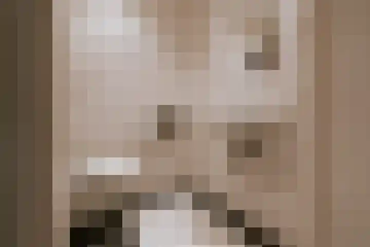 Le Bron de Vexelastraat 7 Roermond thumbnail 5