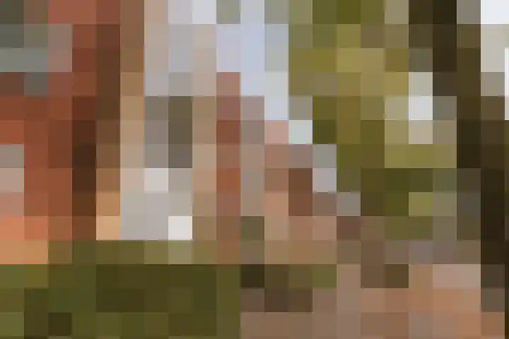 Le Bron de Vexelastraat 7 Roermond thumbnail 6