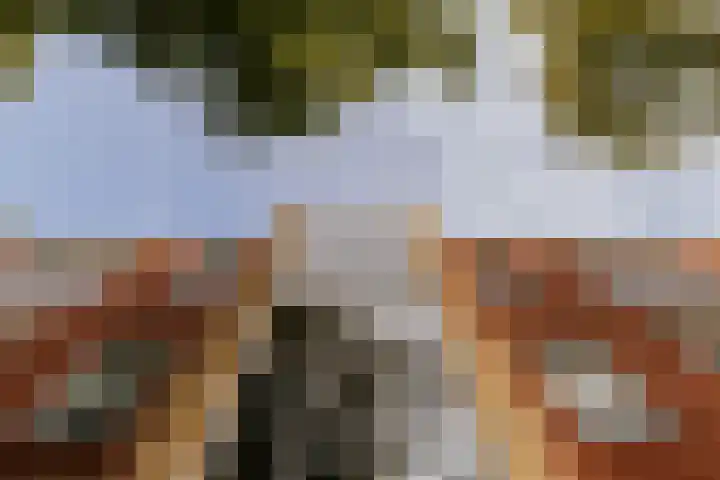 Le Bron de Vexelastraat 7 Roermond thumbnail 7