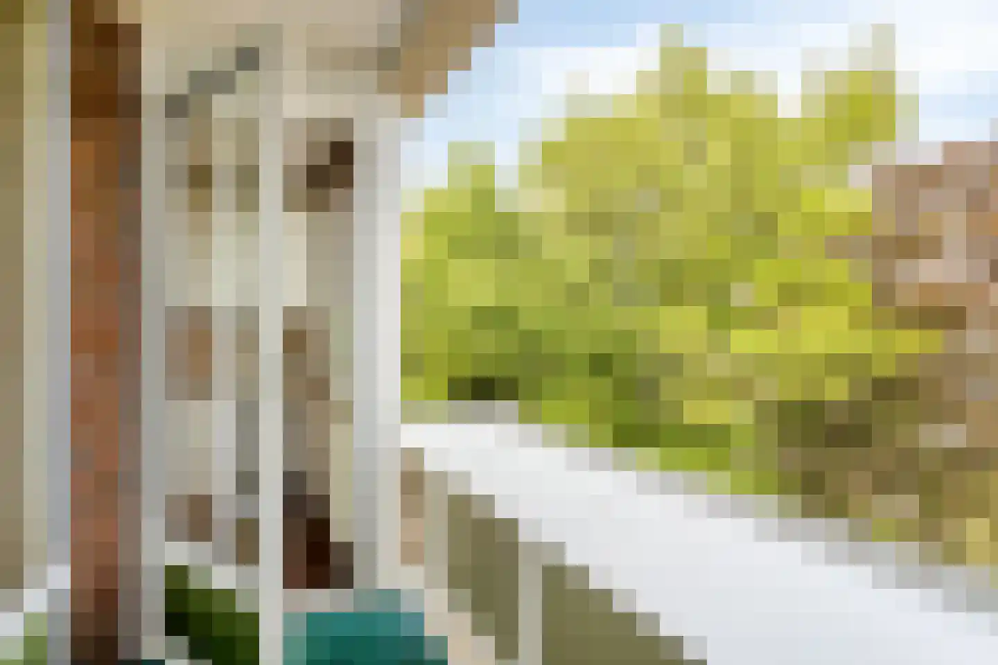 Le Bron de Vexelastraat 71 Roermond thumbnail 24
