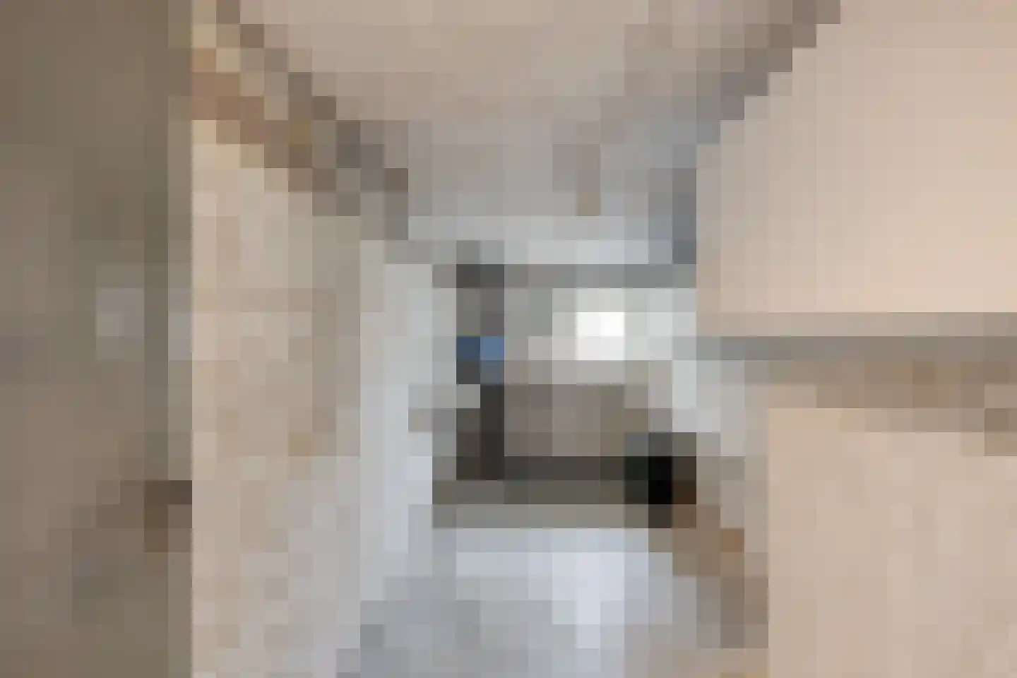 Le Bron de Vexelastraat 71 Roermond thumbnail 30