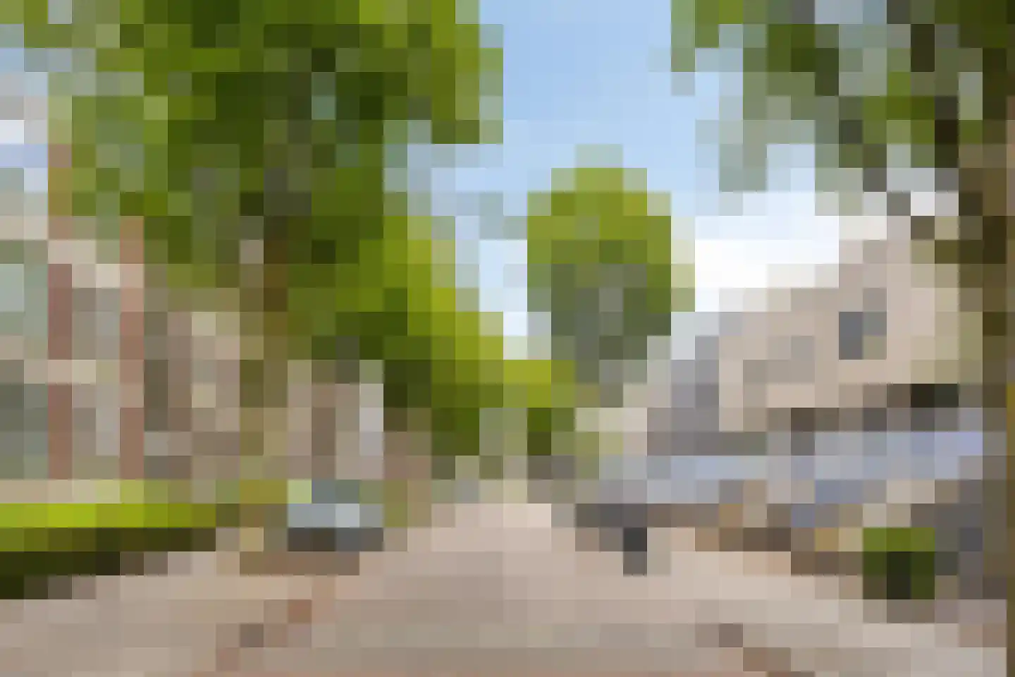 Le Bron de Vexelastraat 71 Roermond thumbnail 32
