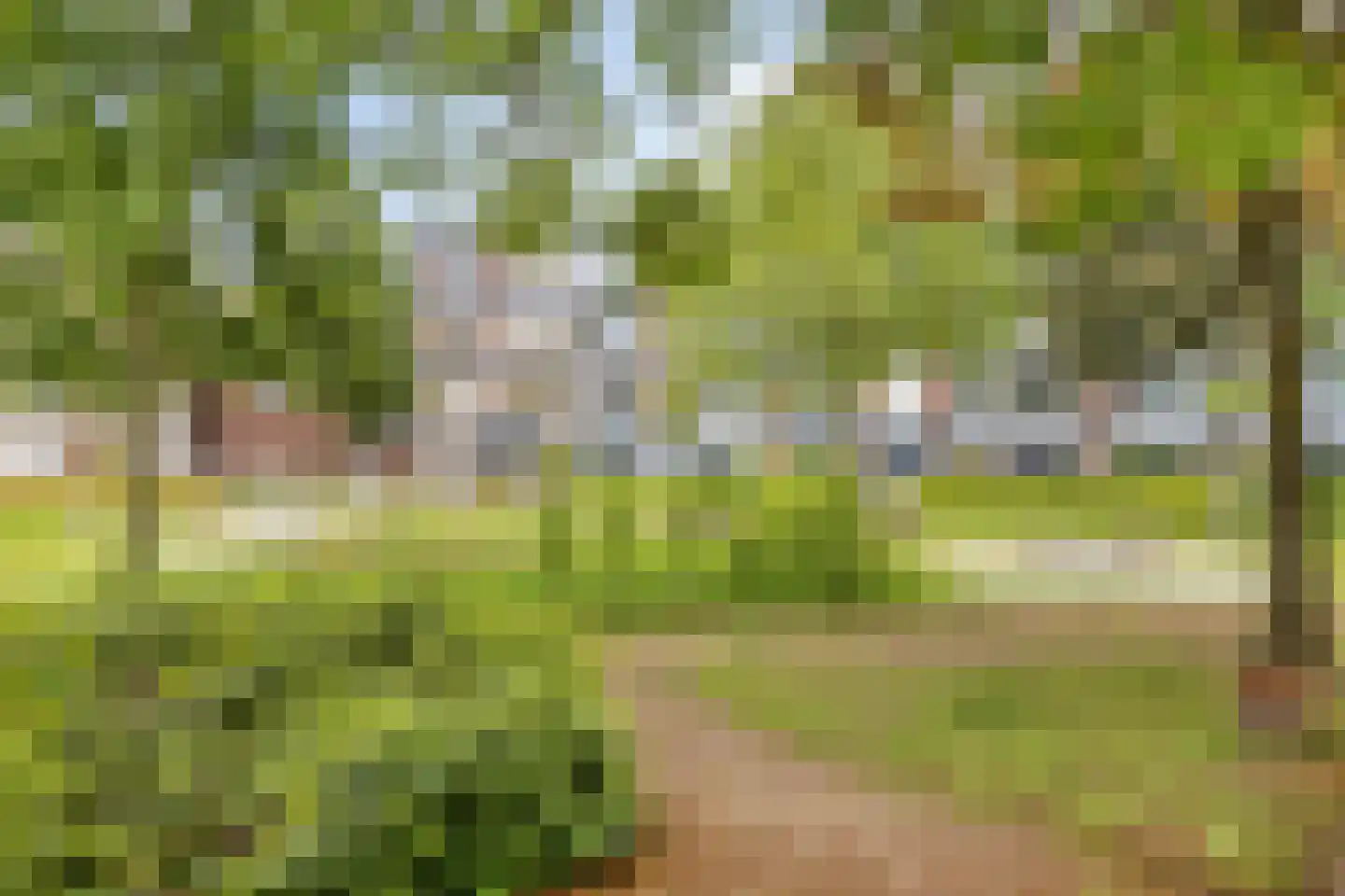 Le Bron de Vexelastraat 71 Roermond thumbnail 34