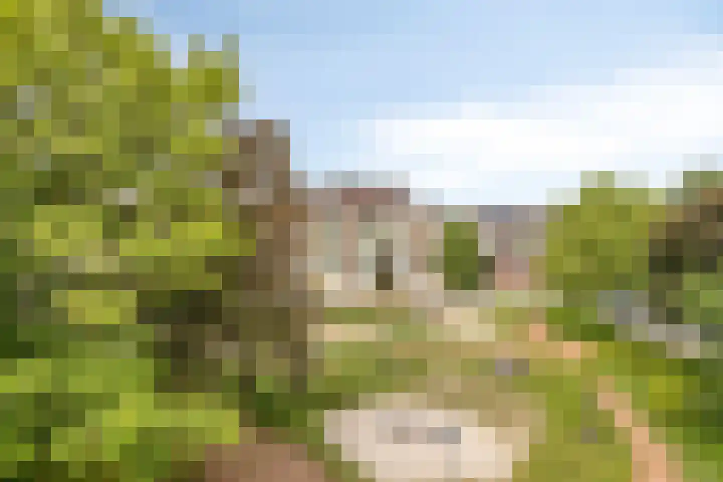 Le Bron de Vexelastraat 71 Roermond thumbnail 35