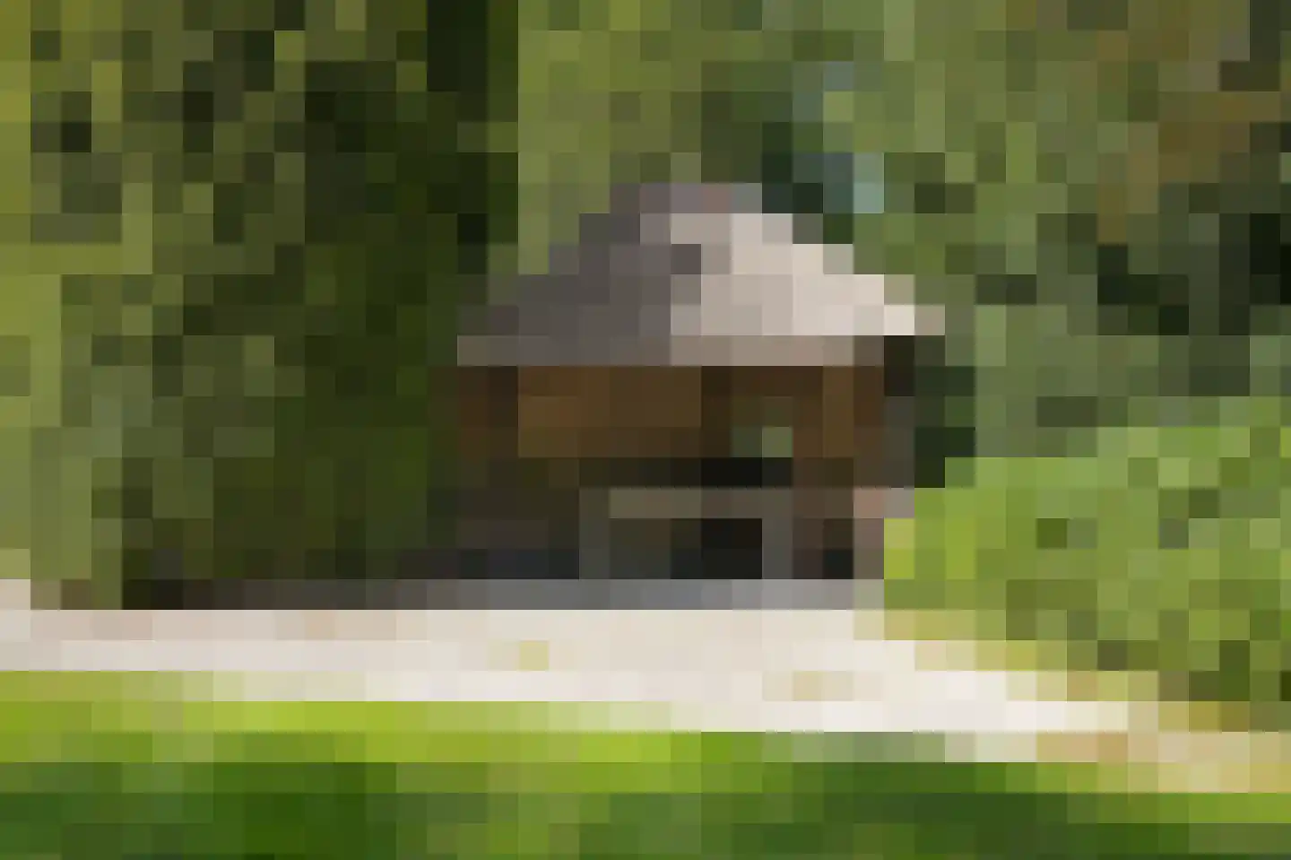 Le Chevalierlaan 3 A Epe thumbnail 32