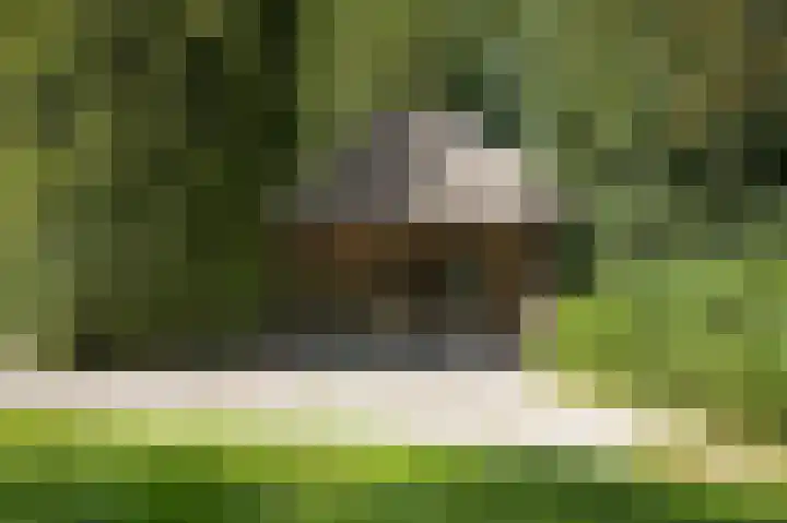 Le Chevalierlaan 3 A Epe thumbnail 32