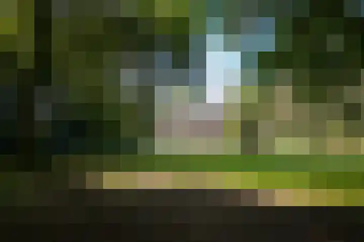 Le Chevalierlaan 3 A Epe thumbnail 36