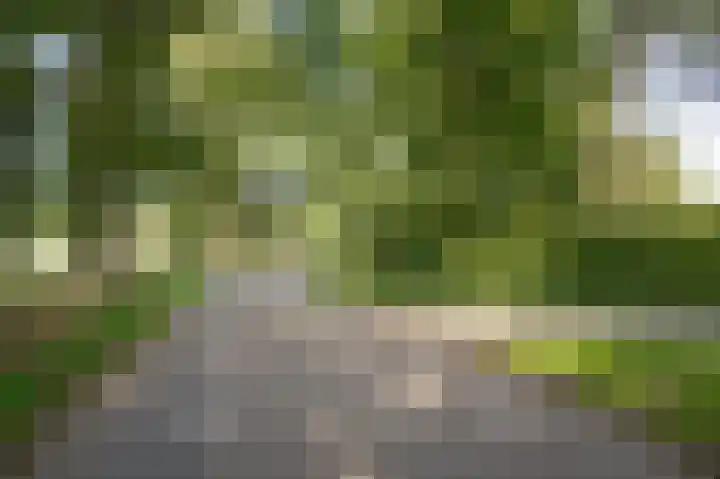 Le Chevalierlaan 3 A Epe thumbnail 42