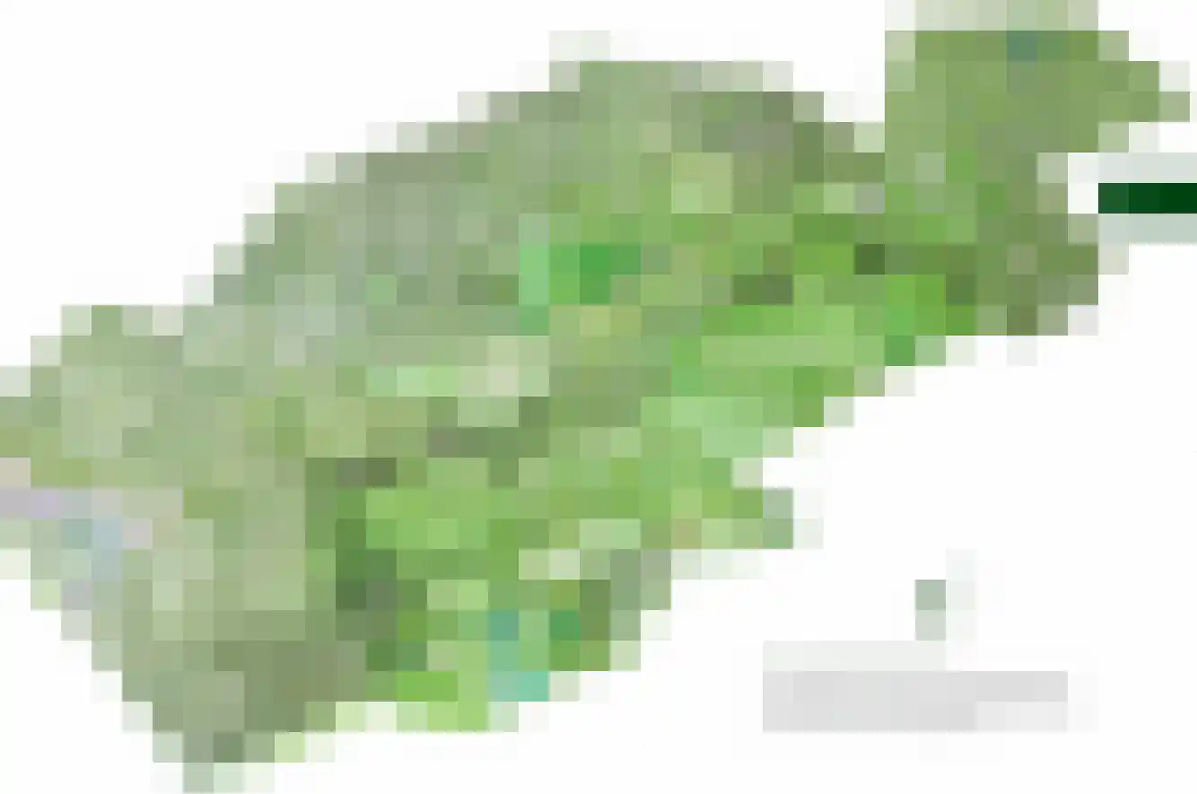Le Chevalierlaan 3 A Epe thumbnail 47