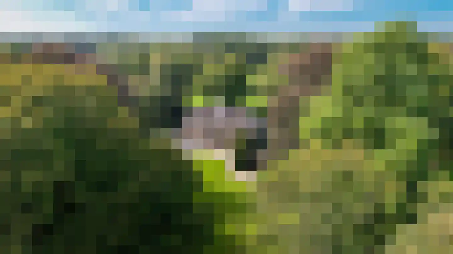 Le Chevalierlaan 3 A Epe thumbnail 49