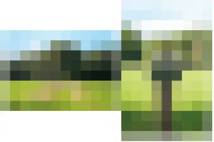 Le Chevalierlaan 3 A Epe thumbnail 5