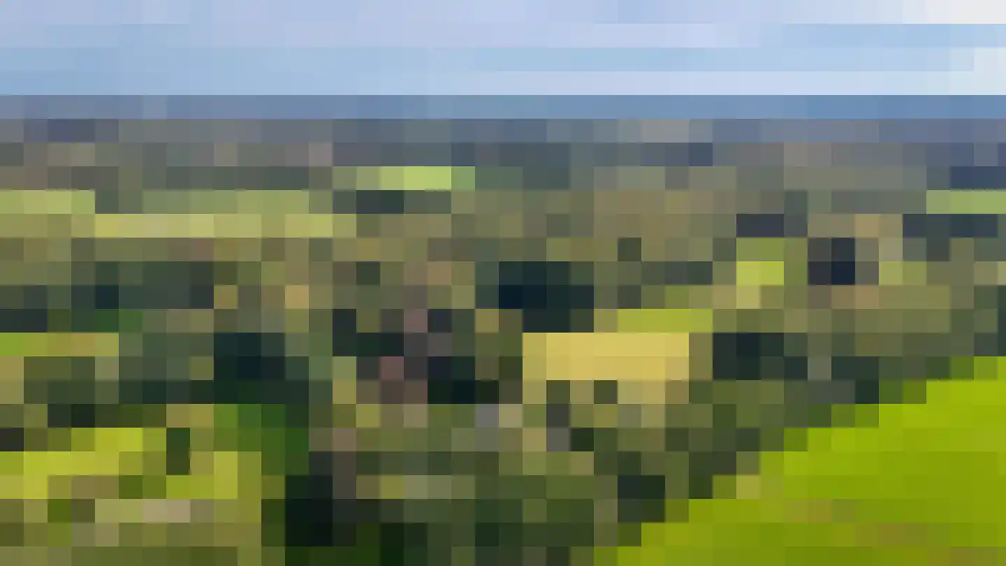 Le Chevalierlaan 3 A Epe thumbnail 53