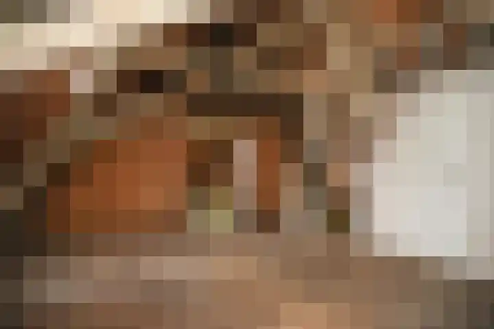 Le Chevalierlaan 3 B Epe thumbnail 30