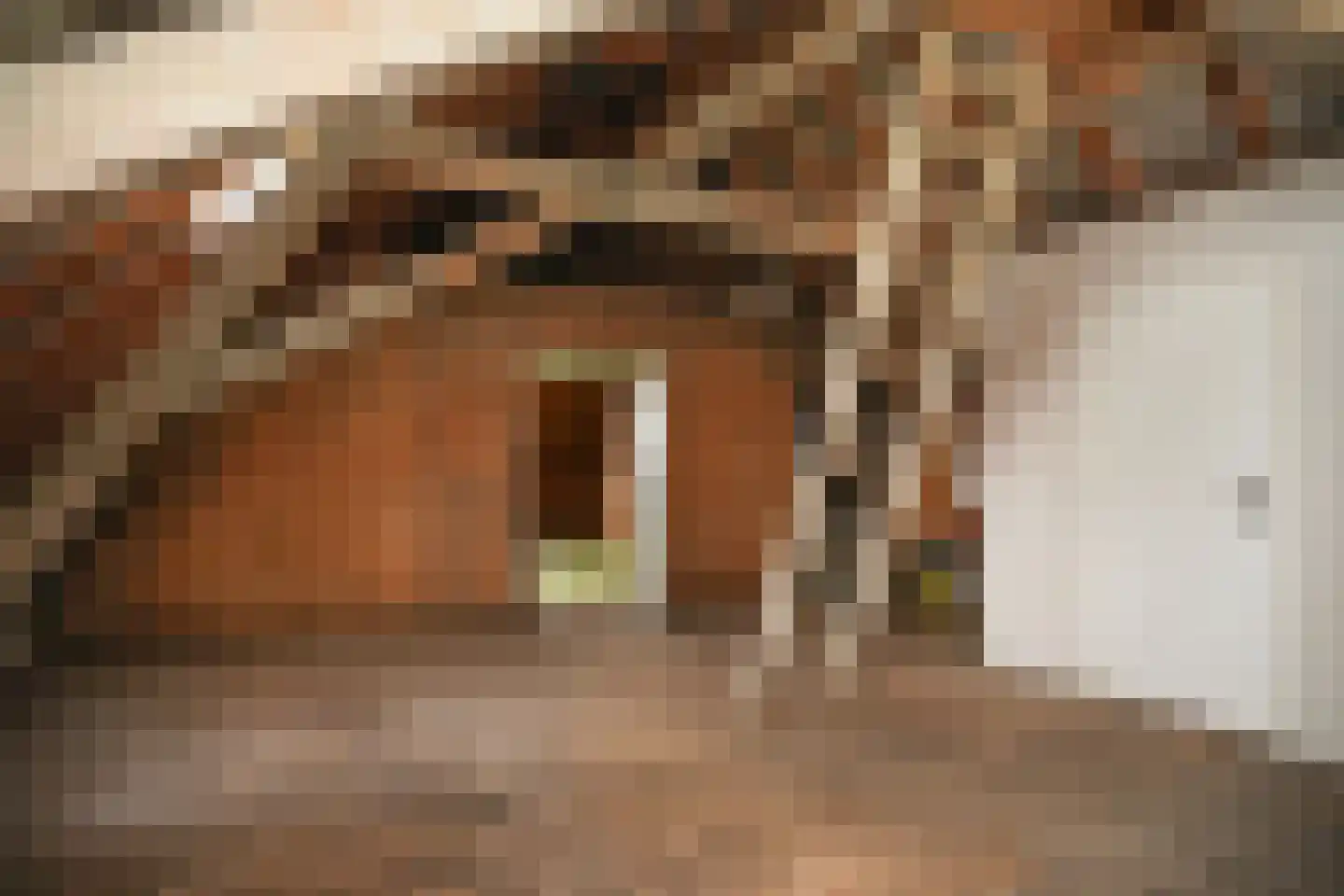 Le Chevalierlaan 3 B Epe thumbnail 30