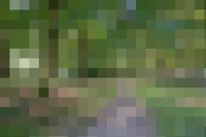 Le Chevalierlaan 3 B Epe thumbnail 33