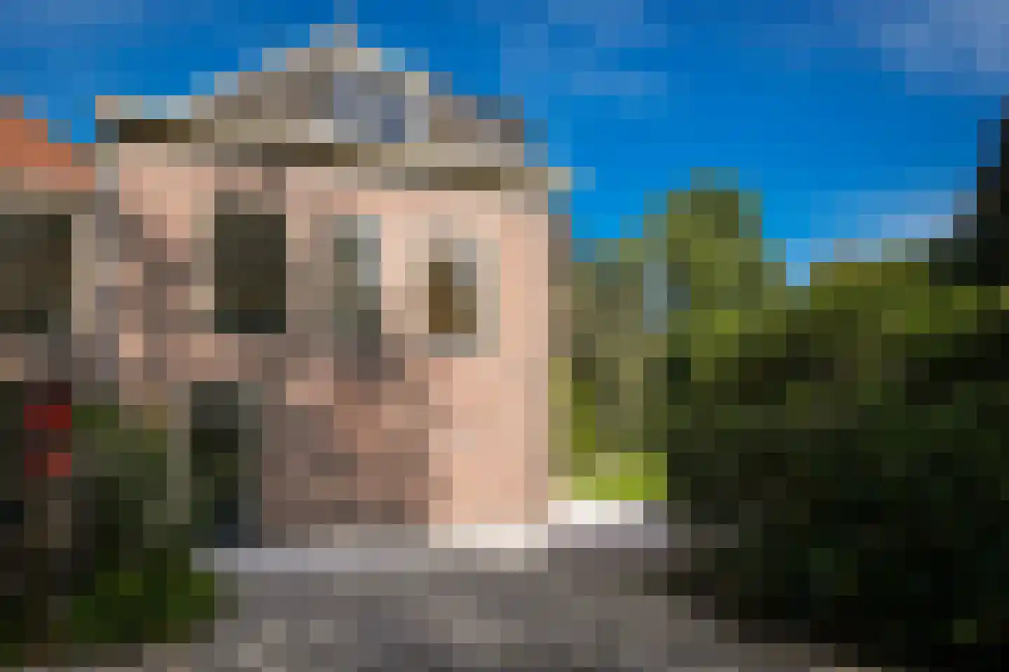 Le Chevalierlaan 3 B Epe thumbnail 36