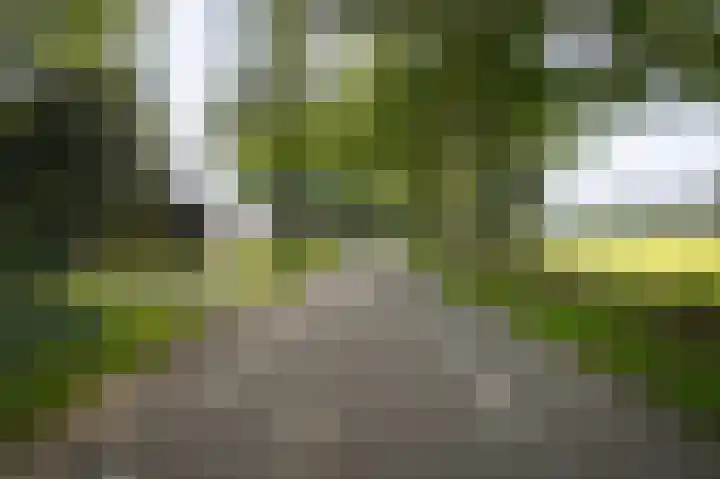 Le Chevalierlaan 3 B Epe thumbnail 39