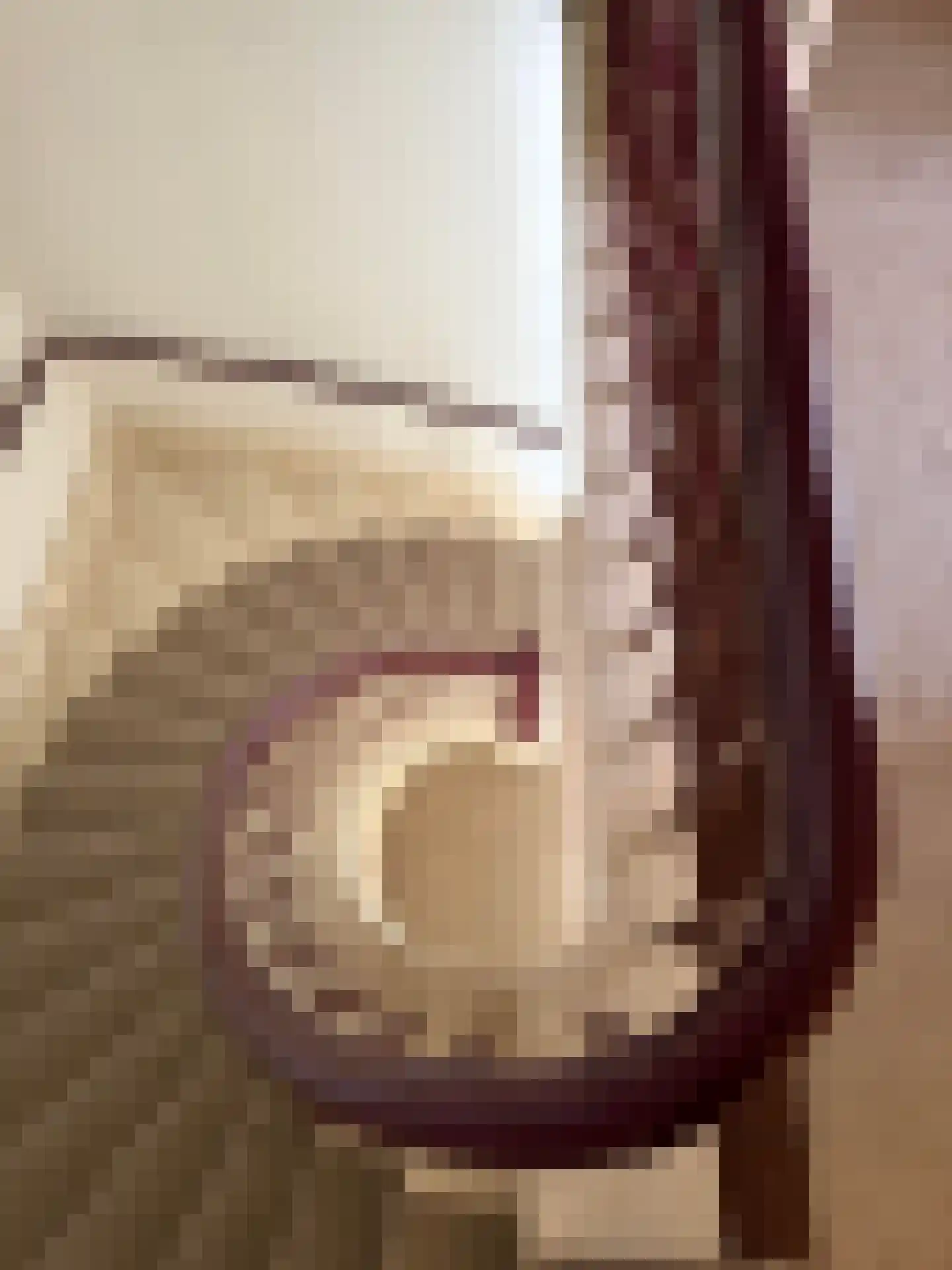 Le Chevalierlaan 3 B Epe thumbnail 4