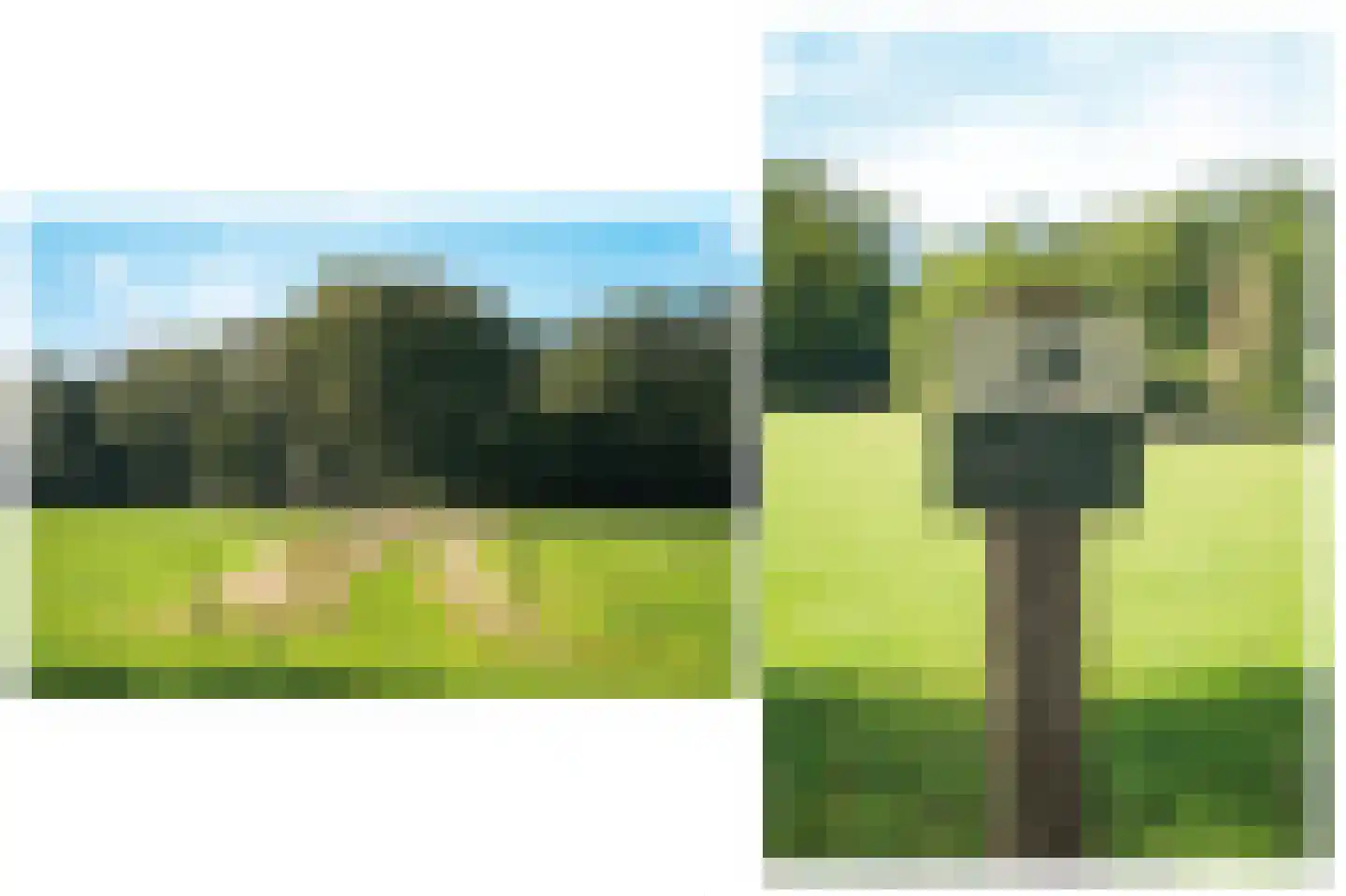 Le Chevalierlaan 3 B Epe thumbnail 40